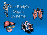 Systems of the Human Body PowerPoint