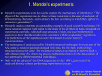 1. Mendel`s experiments