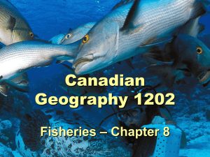 Chapter 8 Fisheries Lessons
