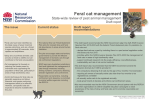 Feral cat fact sheet - draft report