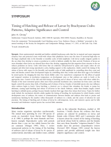 Timing of Hatching and Release of Larvae by Brachyuran Crabs