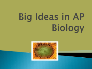 Big Ideas in Biology - juan-roldan