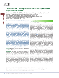 the overlooked molecule in the regulation of polyamine metabolism
