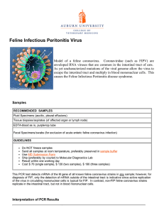 Feline Infectious Peritonitis Virus