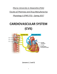 cardiovascular system (cvs) - Pharos University in Alexandria