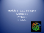 F212 2.1.1 Biological Molecules Proteins