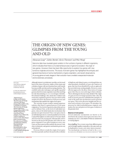 the origin of new genes: glimpses from the young