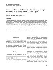 Central Retinal Artery Occlusion After Carotid Artery Angioplasty and