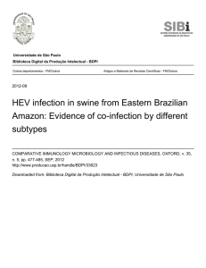 HEV infection in swine from Eastern Brazilian Amazon