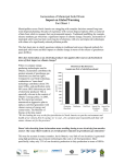 Incineration of Municipal Solid Waste Impact on Global Warming