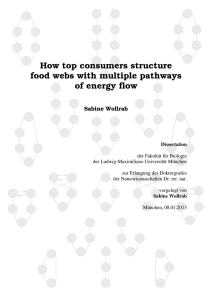 How top consumers structure food webs with multiple pathways of