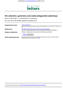 Kin selection, genomics and caste