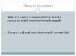 Thought Question`s