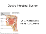 Gastro Intestinal System