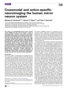 Crossmodal and action-specific: neuroimaging the human mirror