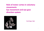 Role of motor cortex in voluntary movements Eye