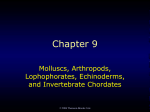 Chapter 9