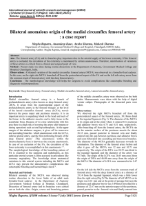 Bilateral anomalous origin of the medial circumflex femoral artery : a
