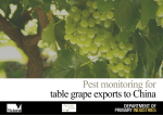 Pest monitoring for table grape exports to China
