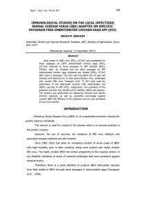 immunological studies on the local infectious bursal disease virus