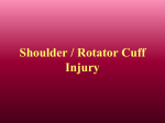 Shoulder / Rotator Cuff Injury