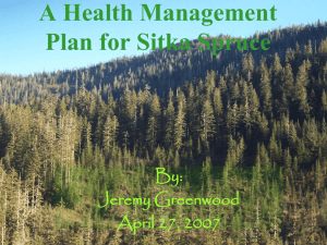 A Health Management Plan for Sitka Spruce By: Jeremy Greenwood