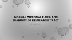 Normal Microbial Flora and Immunity of Respiratory Tract