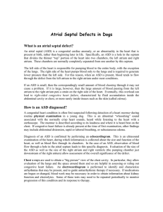 Atrial Septal Defects in Dogs - Veterinary Specialty Services