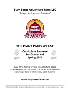 Busy Barns Adventure Farm LLC THE PLANT PARTS WE EAT