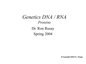 106 DNA- Proteins