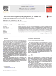 Crack-guided effect on dynamic mechanical stress for foldable low