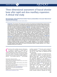 Three-dimensional assessment of buccal alveolar bone after rapid