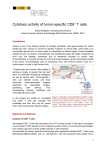 Cytotoxic activity of tumor-specific CD8 T cells