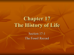 17-1 The Fossil Record - Mrs. Wahe`s Life Science Class