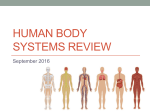 Human Body Review PPT