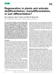 Regeneration in plants and animals: dedifferentiation