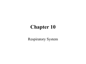 Respiratorystudent - Dr. Brahmbhatt`s Class Handouts