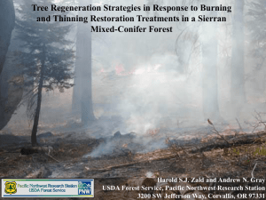 Tree Regeneration Strategies in Response to Burning
