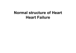 Normal structure of Heart Heart Failure