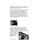 Spectacled Bear Conservation