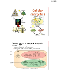 External sources of energy → biologically energy : ATP