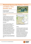 Leatherback turtle - Northern Territory Government