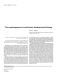 The morphogenesis of evolutionary developmental biology