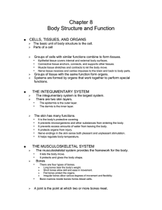 Chapter 8 - Toolbox Pro