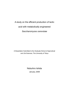 A study on the efficient production of lactic acid with metabolically