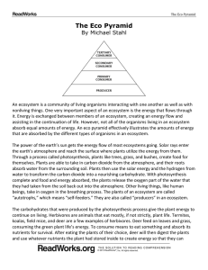 The Eco Pyramid