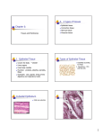 Chapter 6: A. 4 types of tissues I. Epithelial Tissue Types of
