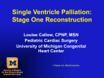 Single Ventricle Palliation: Stage One Reconstruction
