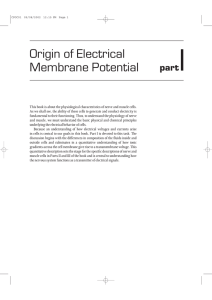 Origin of Electrical Membrane Potential