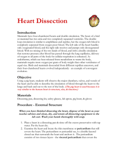Wake Forest Univ heart dissection PDF